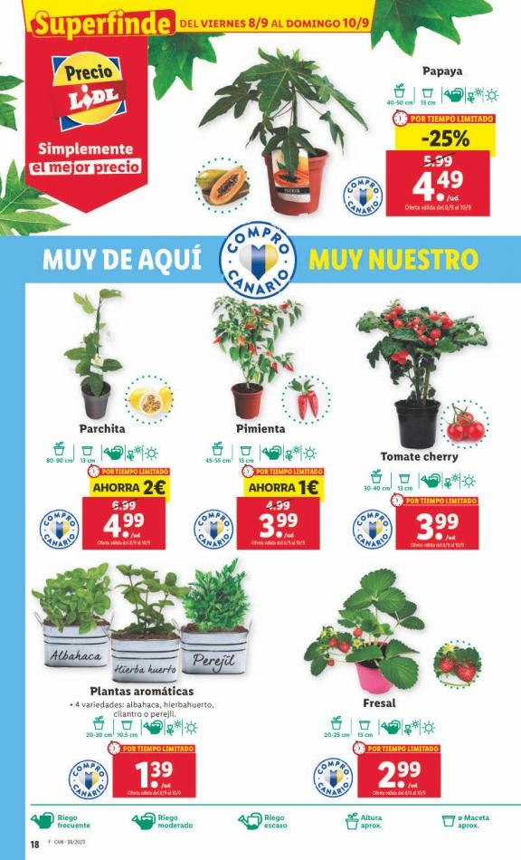Lidl canarias  XXL 