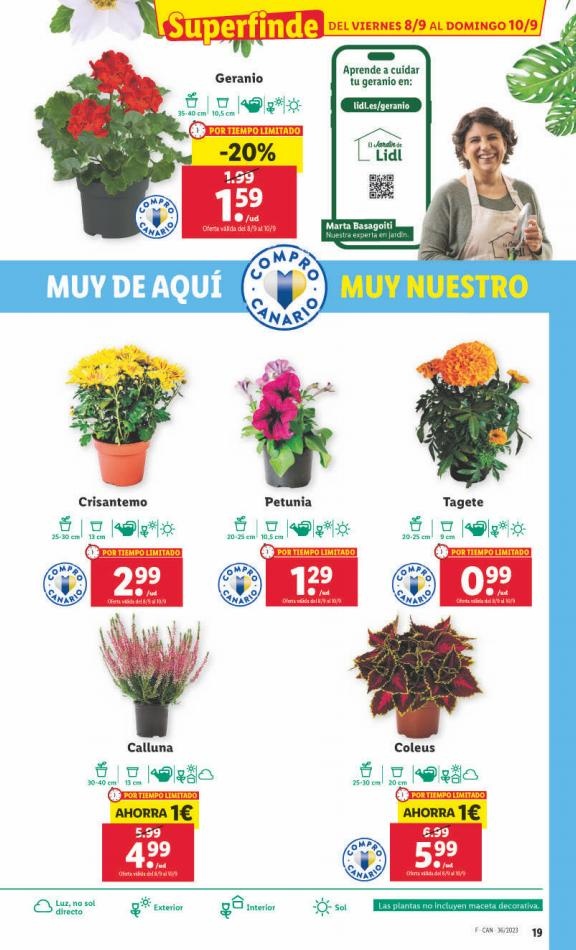 Lidl canarias  XXL 