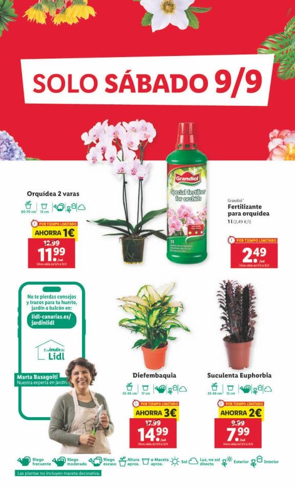 Lidl canarias  XXL 